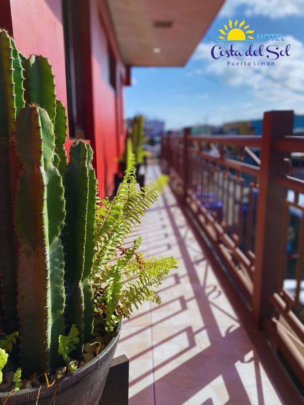 Hotel Costa Del Sol プエルト・リモン エクステリア 写真